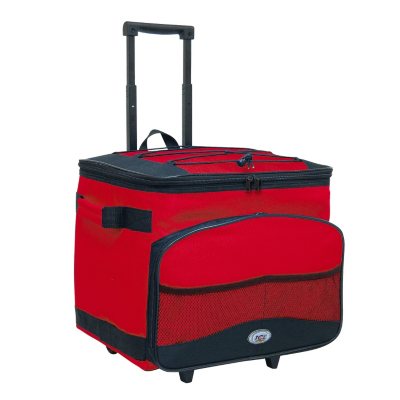 sams club cooler bag