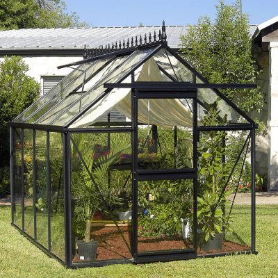 Junior Victorian All Glass Greenhouse Kit   8' x 10'   Sam's Club  greenhouse kits 10 x 10