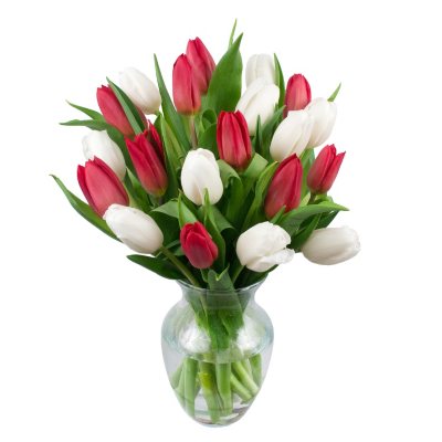 Red & White Tulip Bouquet