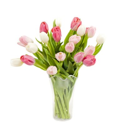 Pink & White Tulip Bouquet