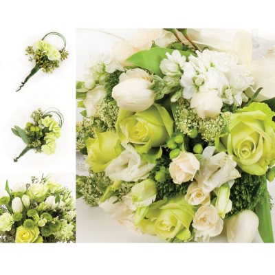 Wedding Collection - Green & White - 43 pc.