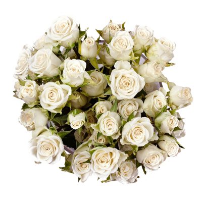 Spray Roses - White - 100 Stems