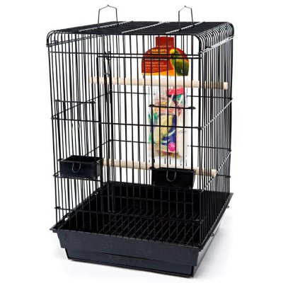 UPC 030172016271 product image for Penn Plax Parrot Starter Kit | upcitemdb.com