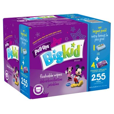 Pull-Ups Flushable Moist Wipes - 255 ct.