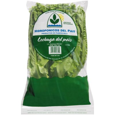Hidroponicos del Pais Country Lettuce