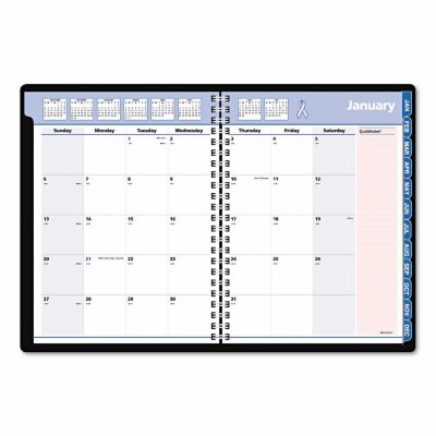AT-A-GLANCE - QuickNotes Special Edition Monthly Planner, 9 1/4 x 11 3/8, Black/Pink -  2016