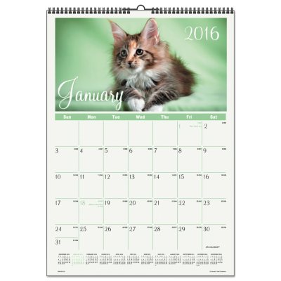 AT-A-GLANCE - Kittens Wall Calendar, 12 x 17 -  2016