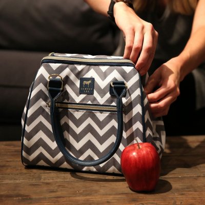 dabney lee insulated lunch tote