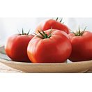 Tomatoes - 6 ct.