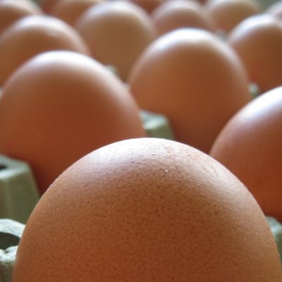 Naturally Nested Organic Eggs Grade AA Large - 18 pk.