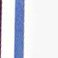 Blue Border