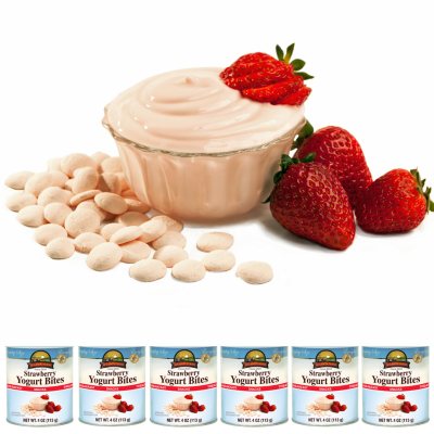 Augason Farms Freeze Dried Yogurt Bites - Strawberry - 6 ct.