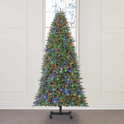 Member's Mark 7' 9' Grow and Stow Adjustable Height Sonoma Fir