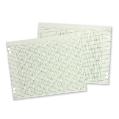 11x17 Accounting Sheets - 100 Loose Sheets