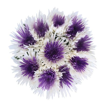 Innie/Outtie Disbuds - Purple and White - 60 Stems