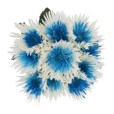 Innie/Outtie Disbuds - Turquoise and White - 60 Stems