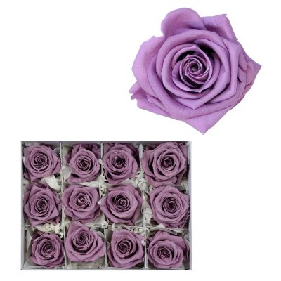 Infinite Rose - Lavender - 12 Rose Heads