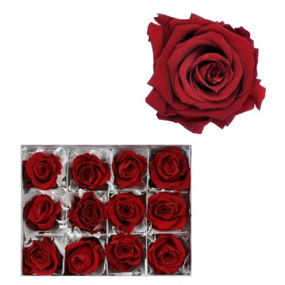 Infinite Rose - Red - 12 Rose Heads