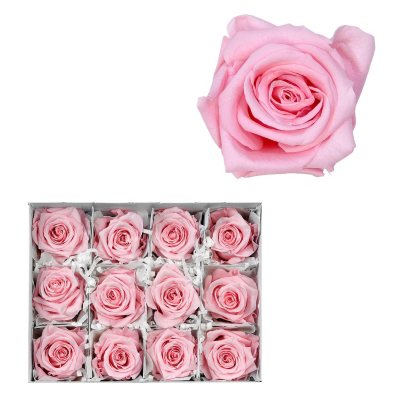 Infinite Rose - Light Pink - 12 Rose Heads