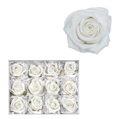 Infinite Rose - White - 12 Rose Heads