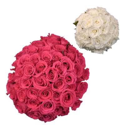 Roses - Wedding Pack Hot Pink & White - 75 Stems