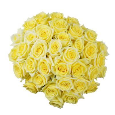 Roses - Yellow - 75 Stems