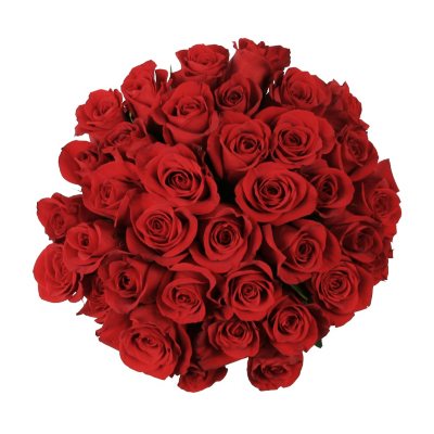 Roses - Red - 75 Stems 