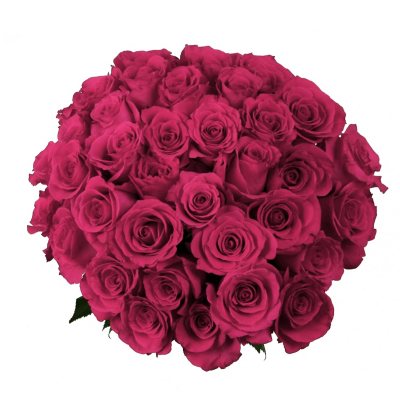 Roses - Hot Pink - 75 Stems 