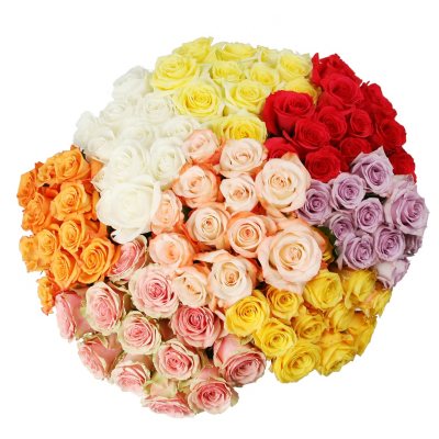 Roses - Assorted Color - 75 Stems 