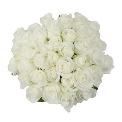 Roses - White - 75 Stems