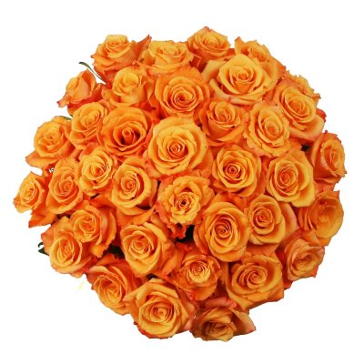Roses - Orange - 75 Stems 