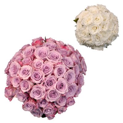 Roses - Wedding Pack Lavendar & White - 75 Stems