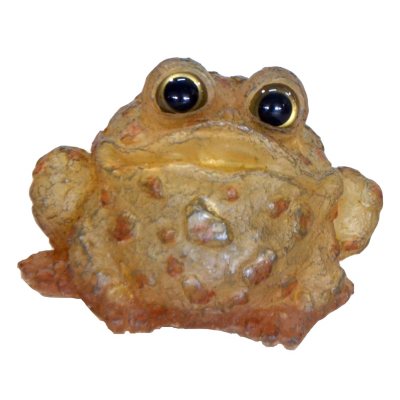 Sammy the Solar Toad
