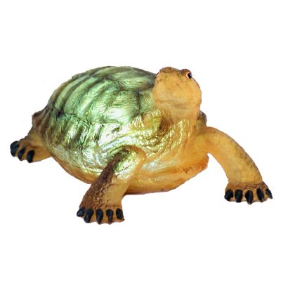 Terry the Turtle