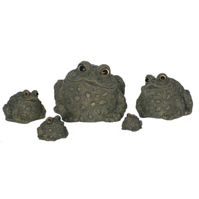 Toad Hollow Stackable Family Pack - 5 pc.