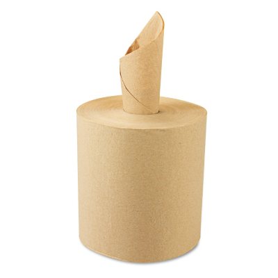 Windsoft Paper Towels - 12 Rolls