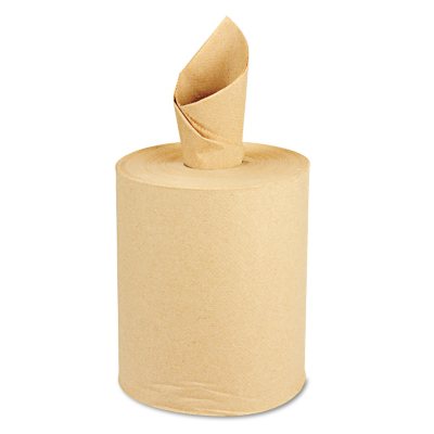 Windsoft Roll Paper Towels - 12 Rolls