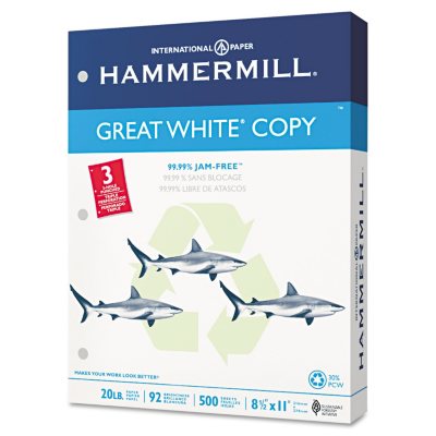Hammermill - Great White 30% Recycled Copy Paper, 20lb, 92 Bright, 3 Hole Punched - Case