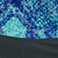 Blue Snake