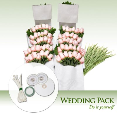 Do It Yourself Celebrations - Pink Roses - 200 Stems