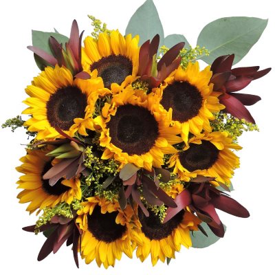 Sun Rising Mixed Bouquet - 7 pk.