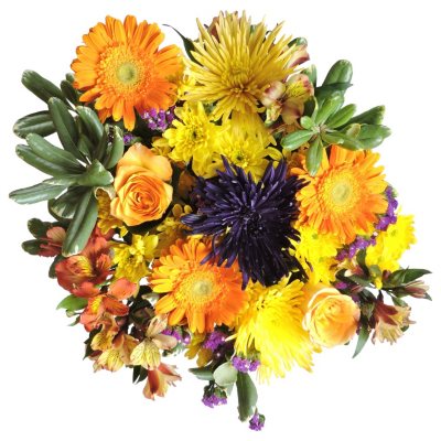 Fall Harvest Mixed Bouquet - 7 pk.