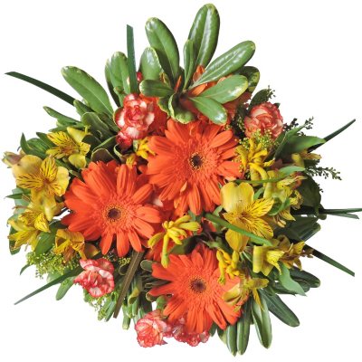 Pumpkin Patch Mixed Bouquet - 7 pk.