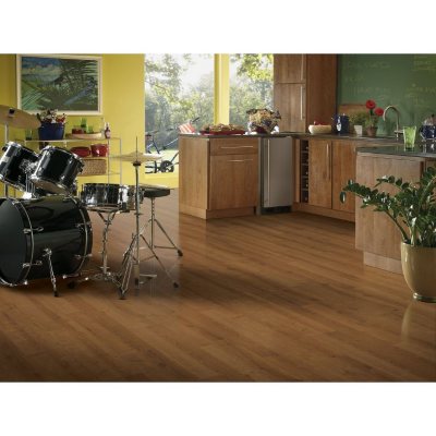 Premier™ from Armstrong - 12mm Laminate Flooring Sample-Various Colors