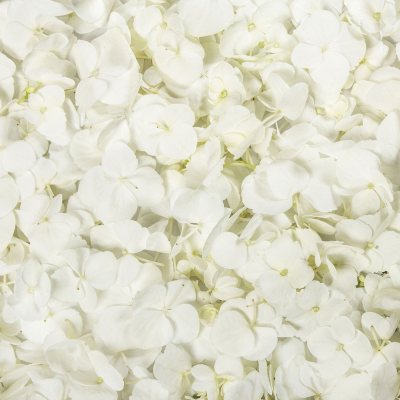 Hydrangea Petals-White 16 Pk.