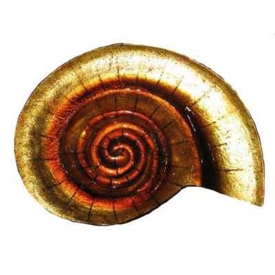 Handcrafted Handpainted Seashell Glass Bowl 
