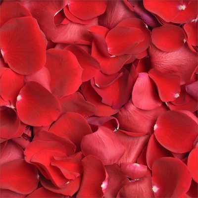 Rose Petals - Red