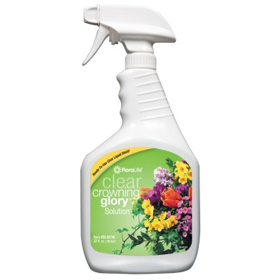 Floralife Clear Crowning Glory - 12 ct.