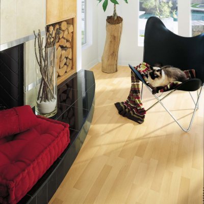 Traditional Living® Premium Laminate Flooring - Classic Beech - 36 pk.