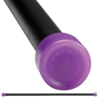 Body Solid Tools BSTFB6 6 lb. Lt Purple Fitness Ba